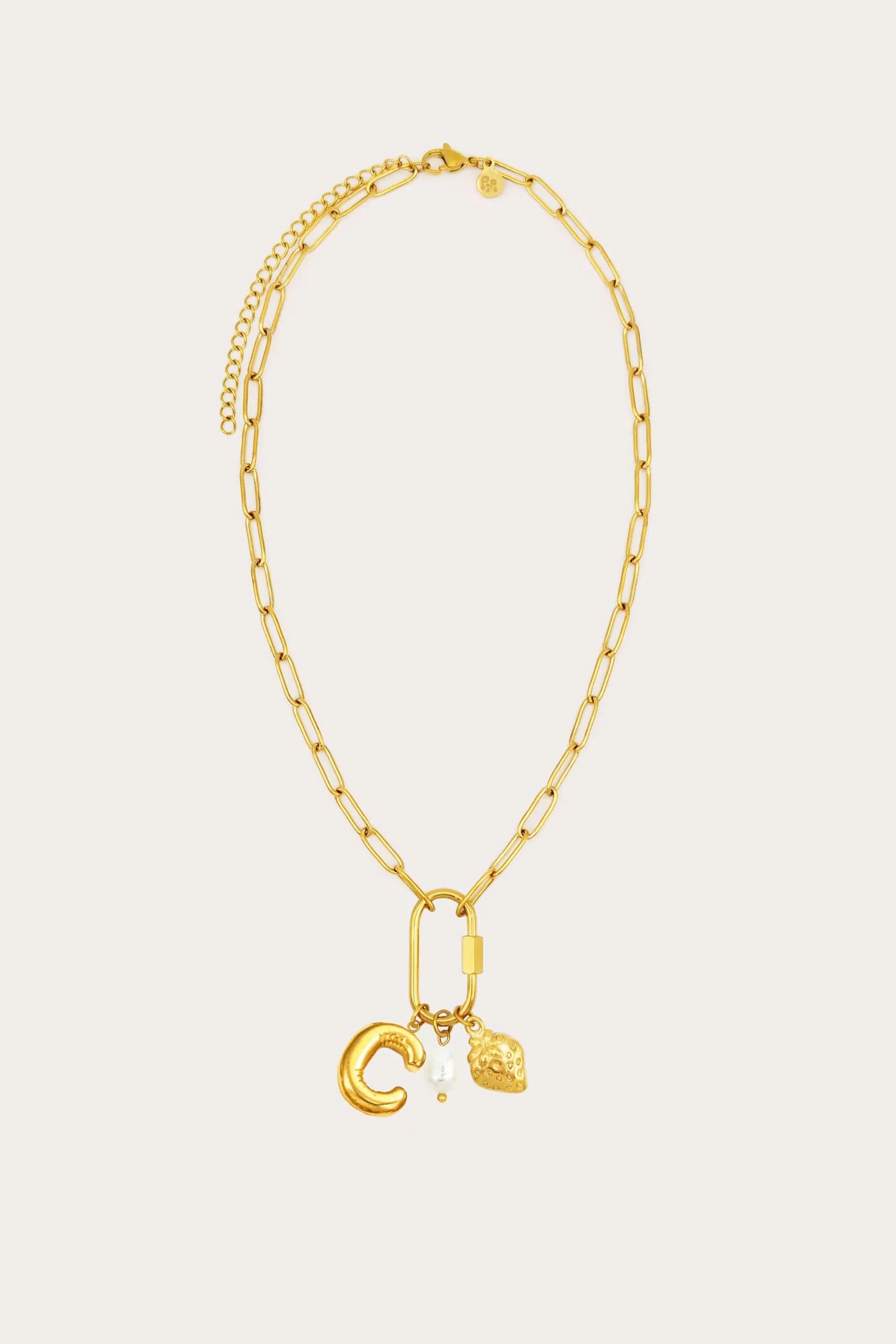 Carabiner Initial Charm Necklace in Gold