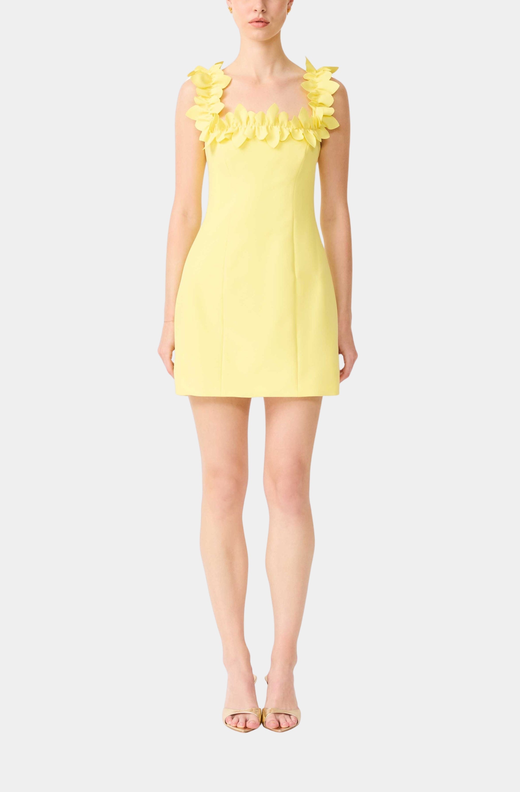 Elliatt  Hemline Mandeville