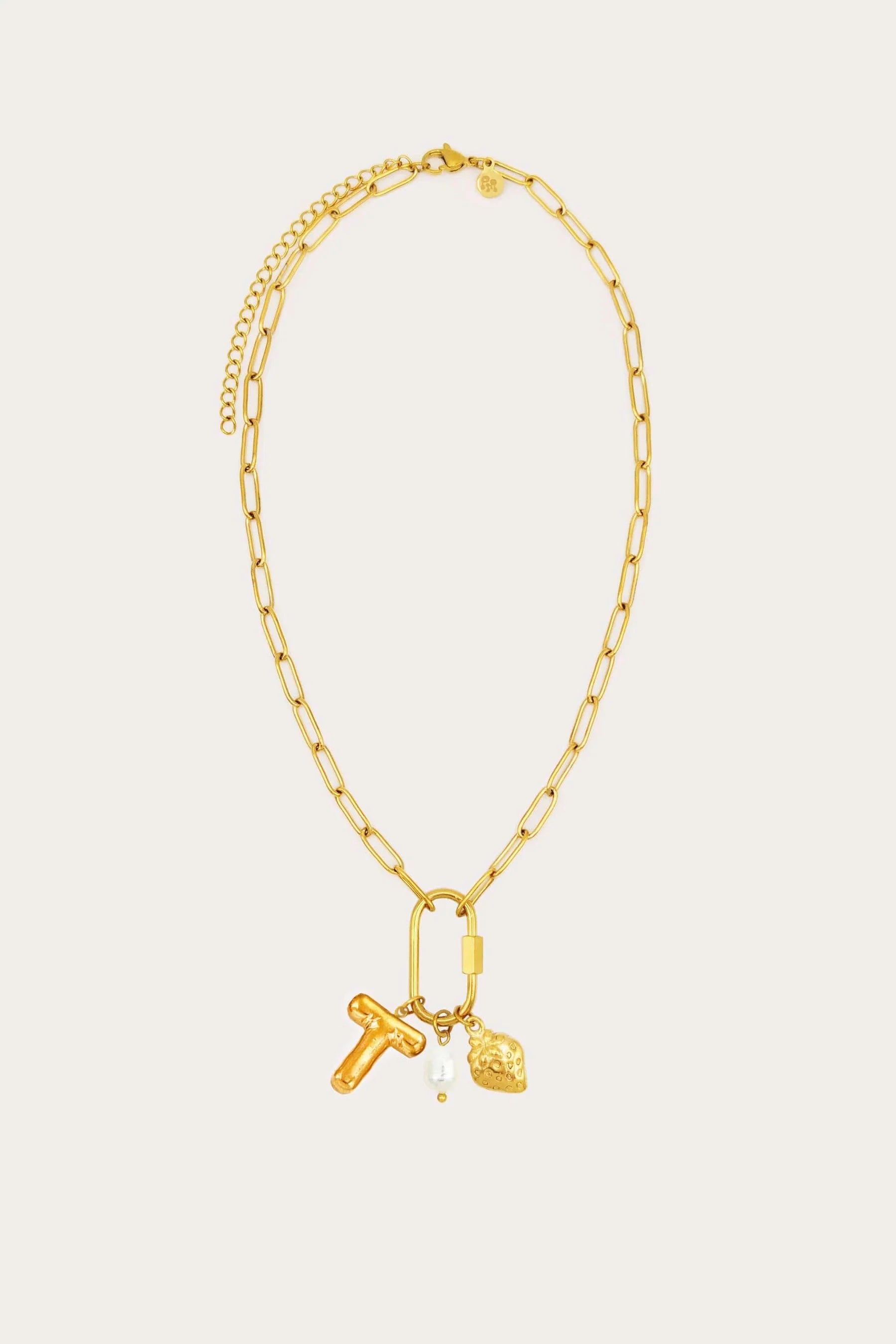 Carabiner Initial Charm Necklace in Gold