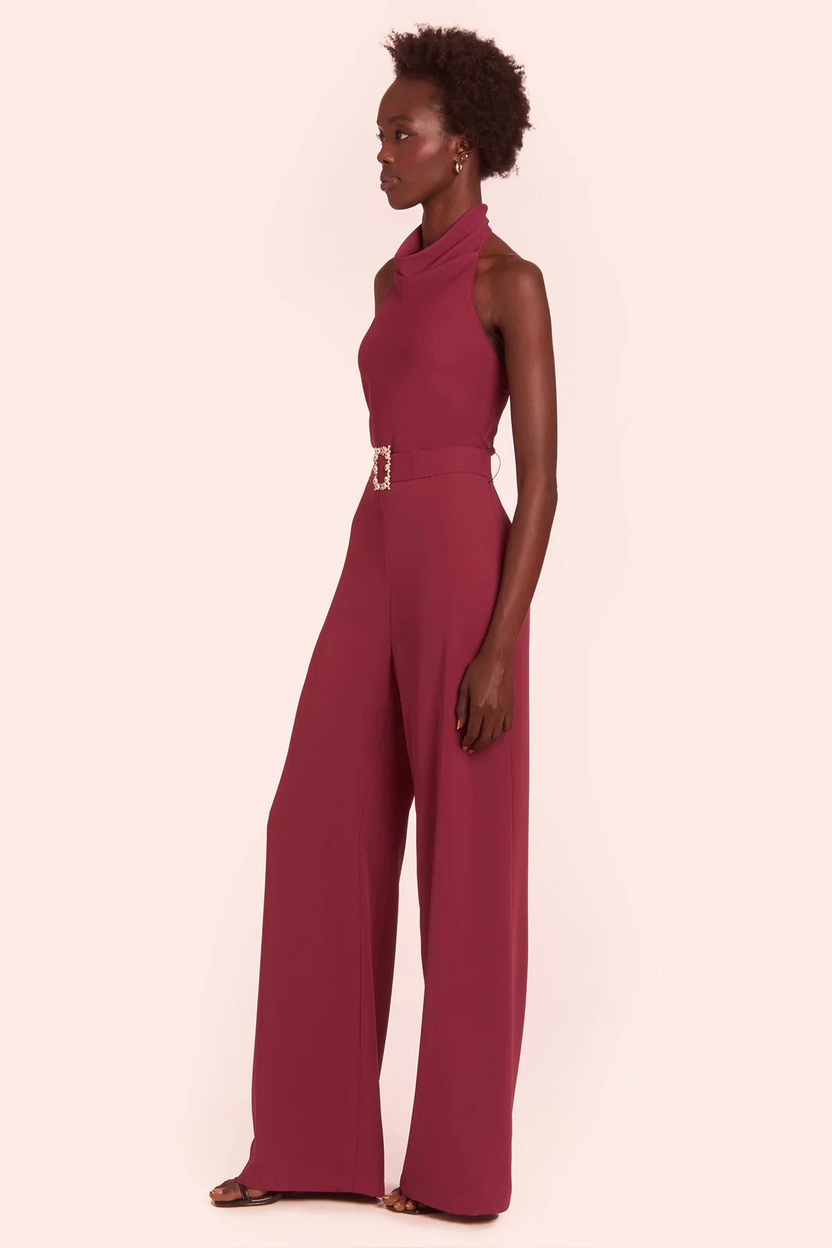 Samba Jumpsuit in Aubergine